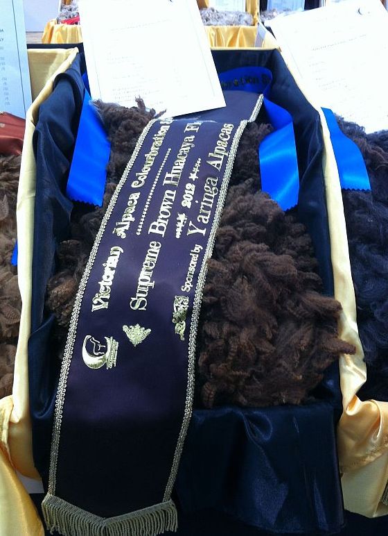 Glenavon Rave Fleece